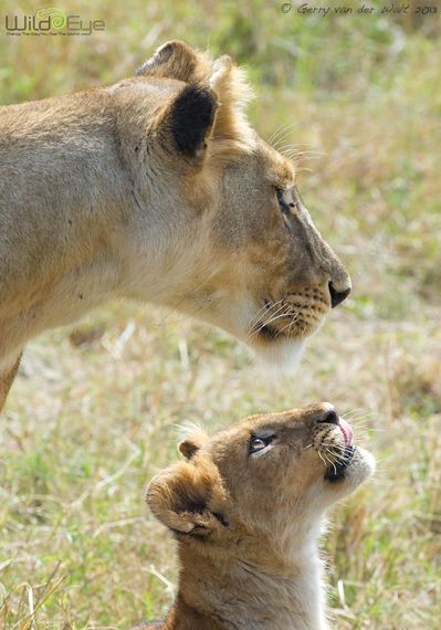 Six Photography Tips I Learned From A Wildlife Photographer You Can Use Anytime, Anywhere