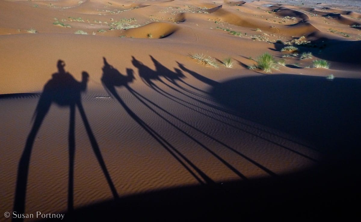 Stunning Silhouette Photos Guaranteed to Inspire Your Travels-Shadows of a camel caravan in the Sahara Desert, Morocco