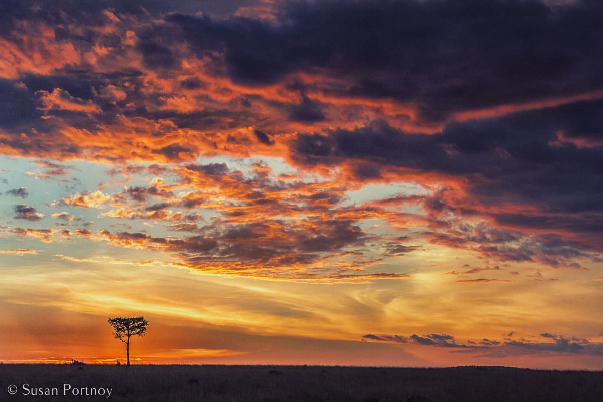 Stunning Silhouette Photos Guaranteed to Inspire Your Travels-A lone acacia is dwarfed by a Masai Mara sunset