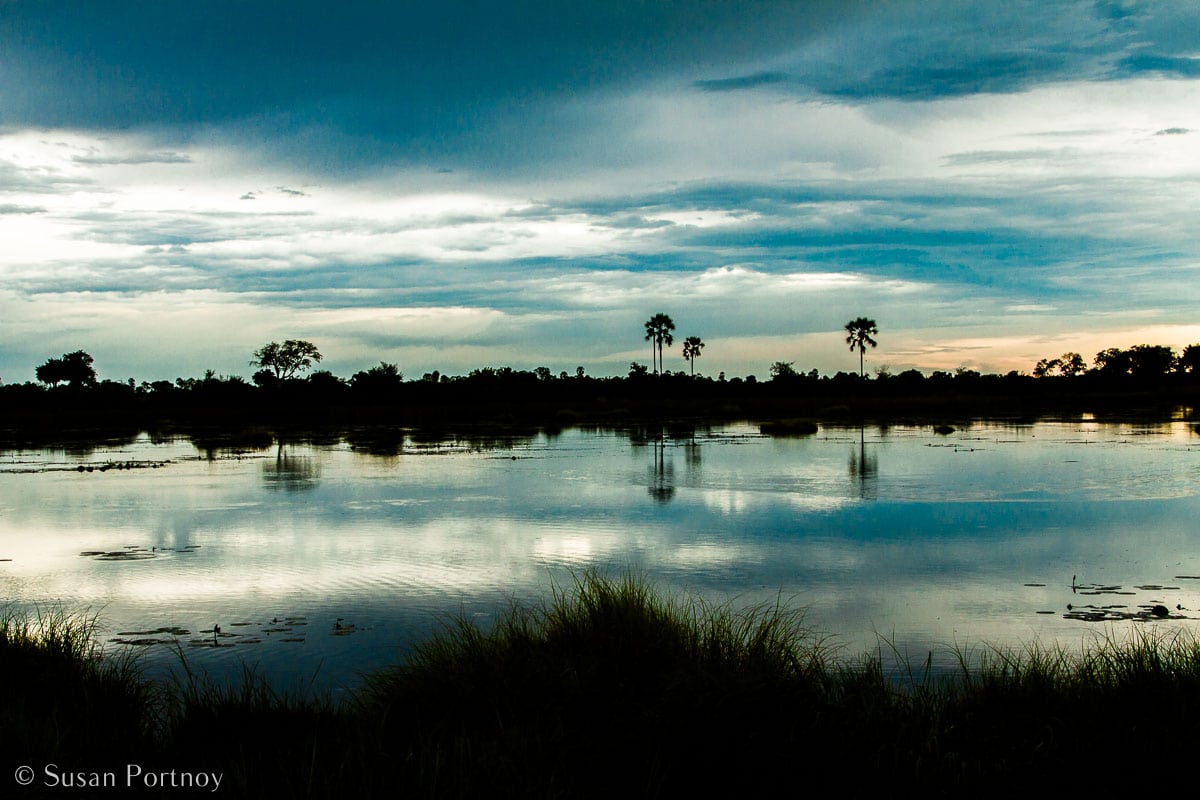 Stunning Silhouette Photos Guaranteed to Inspire Your Travels-An ice-blue sunrise at Abu Camp in Botswana.