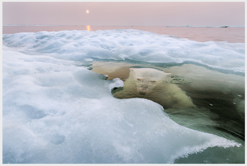 Photos I Wish I Had Taken: Paul Souders