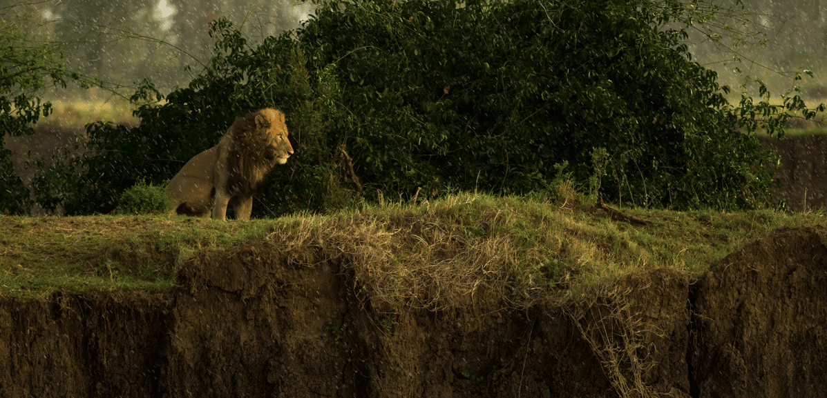 Photo: Marlon du Toit