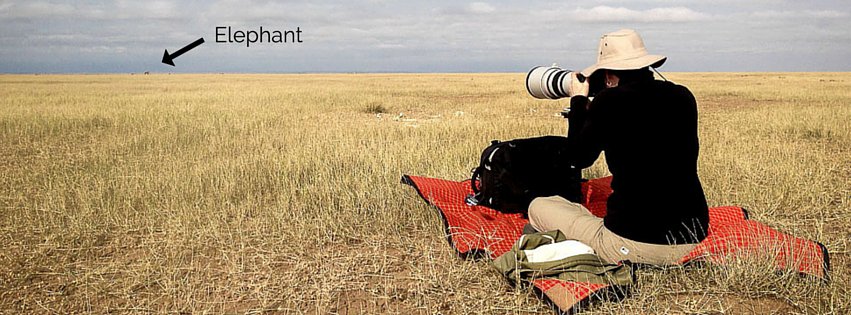 Susan Portnoy photographing an elephant in Amboseli, Kenya