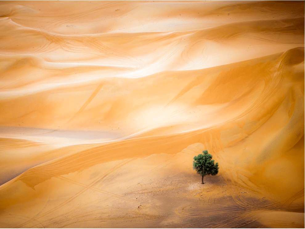 Photo: Mark Seabury