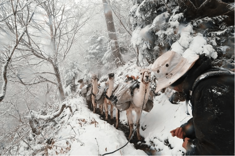 Photos I Wish I Had Taken: Joshua J. Branson