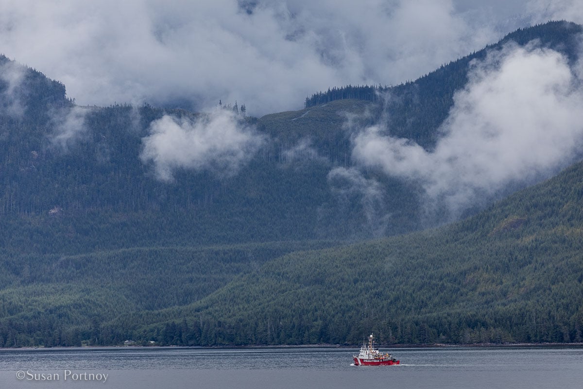 A view from my veranda in Glacier Bay - Lessons Learned on an Alaskan Cruise -200020180608
