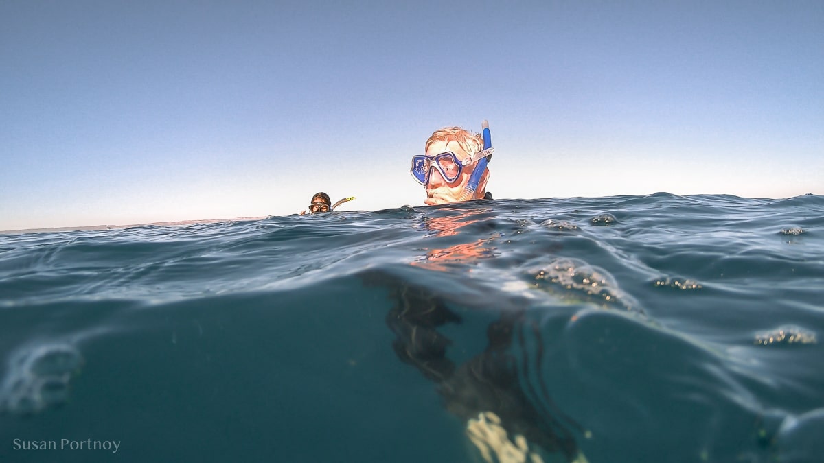 Snorkeler in the water in the Bay of La Paz, Mexico