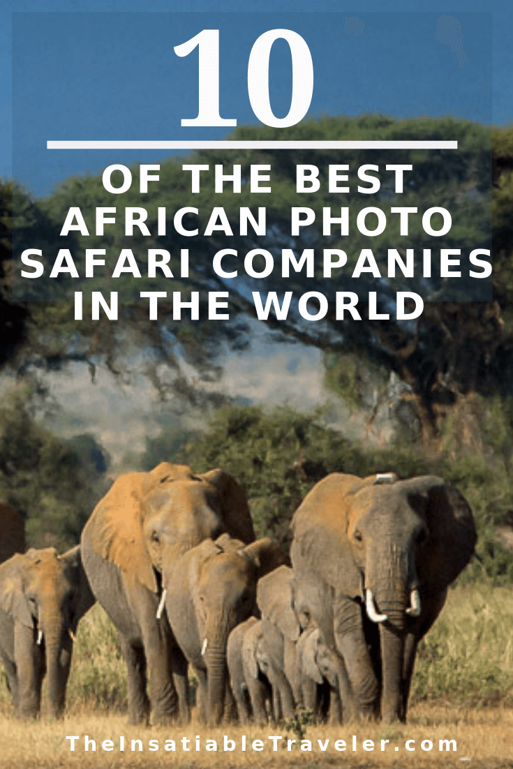 10 of the Best Africa Photo Safari Tours in the World
