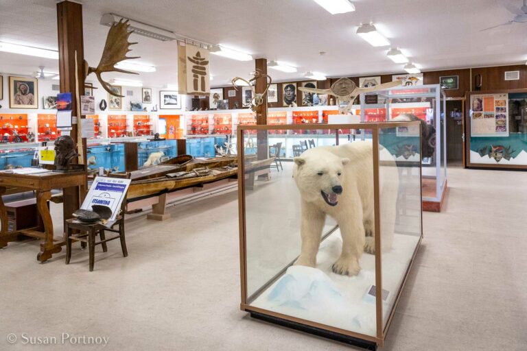 17 Awesome Things To Do In Churchill Manitoba