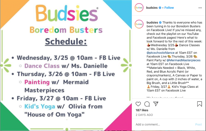 Budsies list of Boredom Busters on Instagram