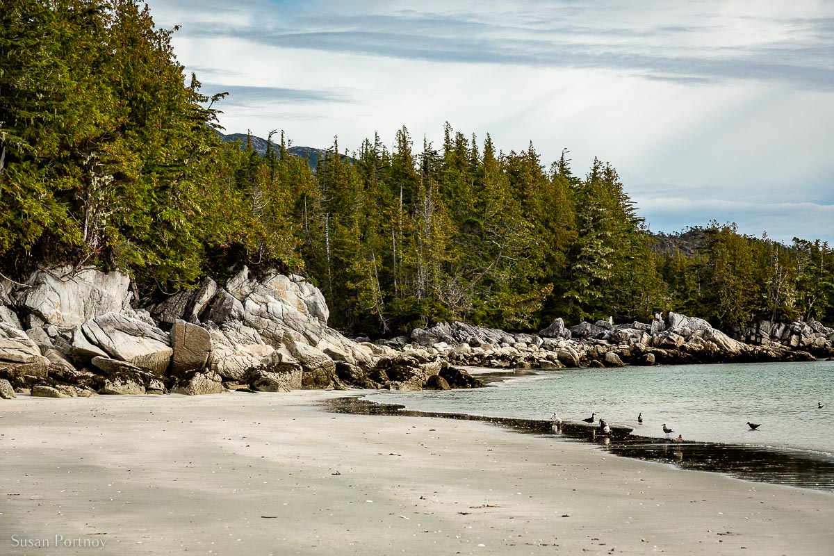A beautiful beach on Campania Island in the Great Bear Rainforest