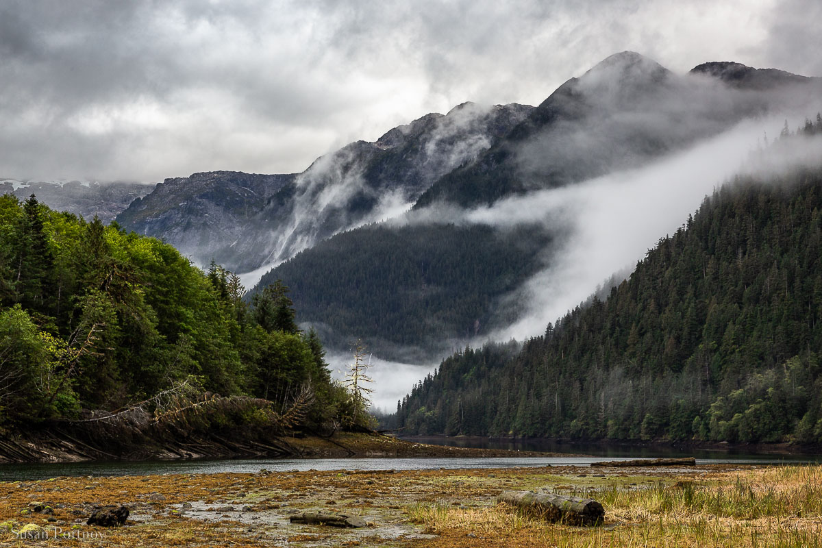 A River at the base of a mountain covered in fog and surrounded by forest in British Columbia