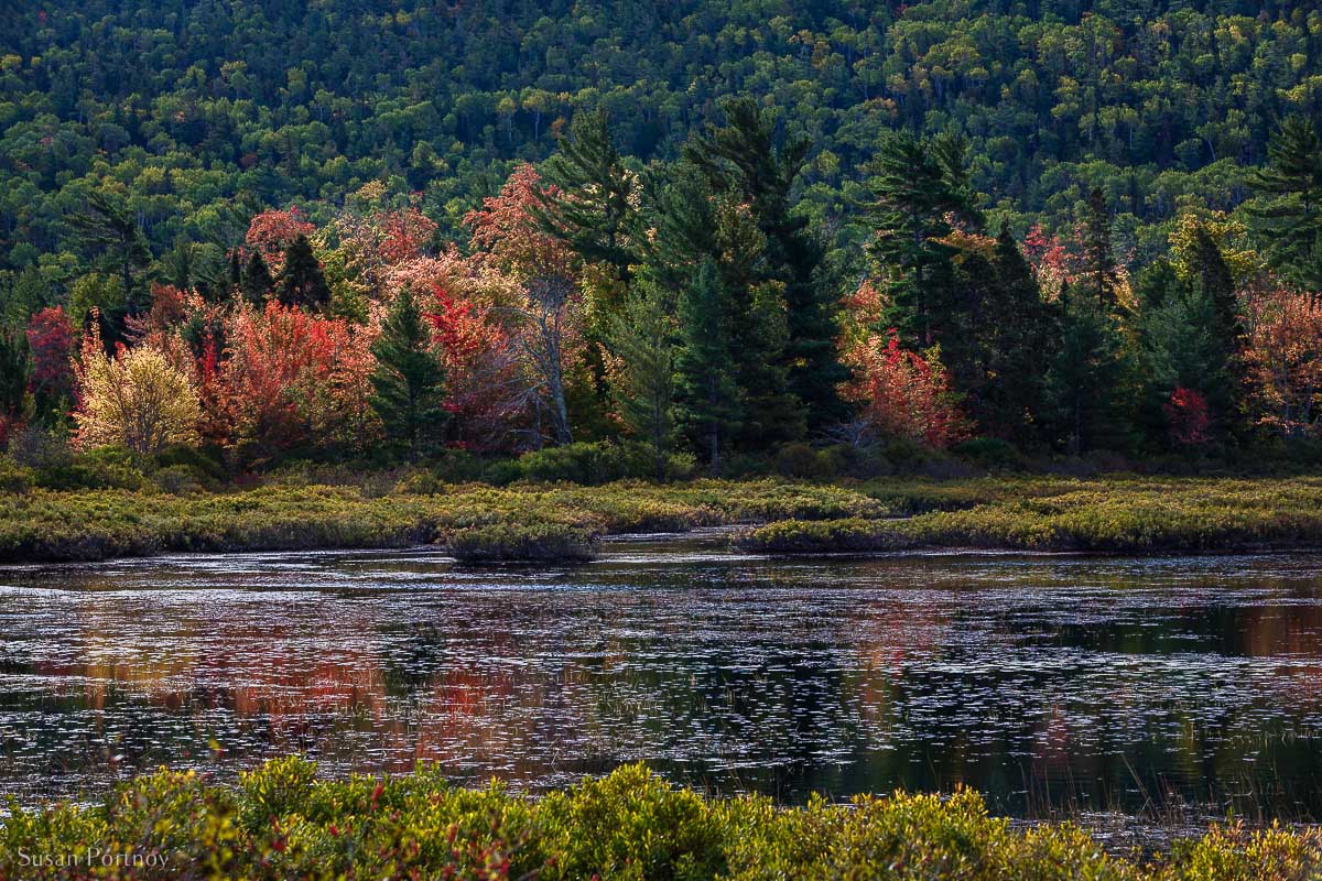 Beautiful MI fall colors in MIchigan's Upper Peninsula