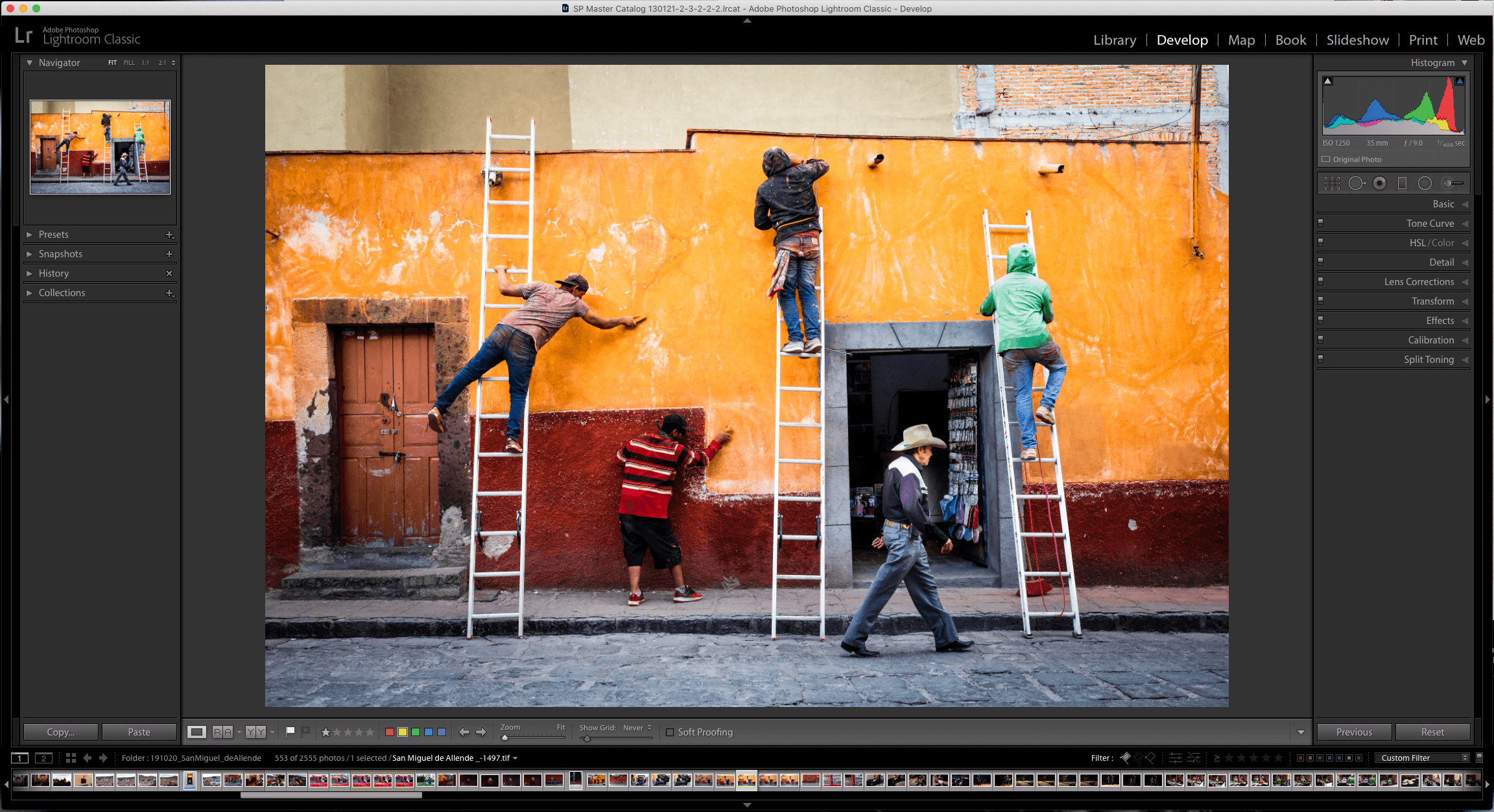 Photo within the LIghtroom Develop Mode
